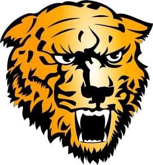 wildcat-logo-brick-campaign.jpg