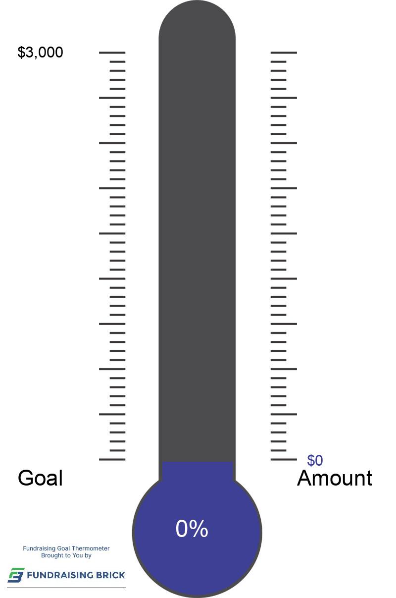 Donation Progress