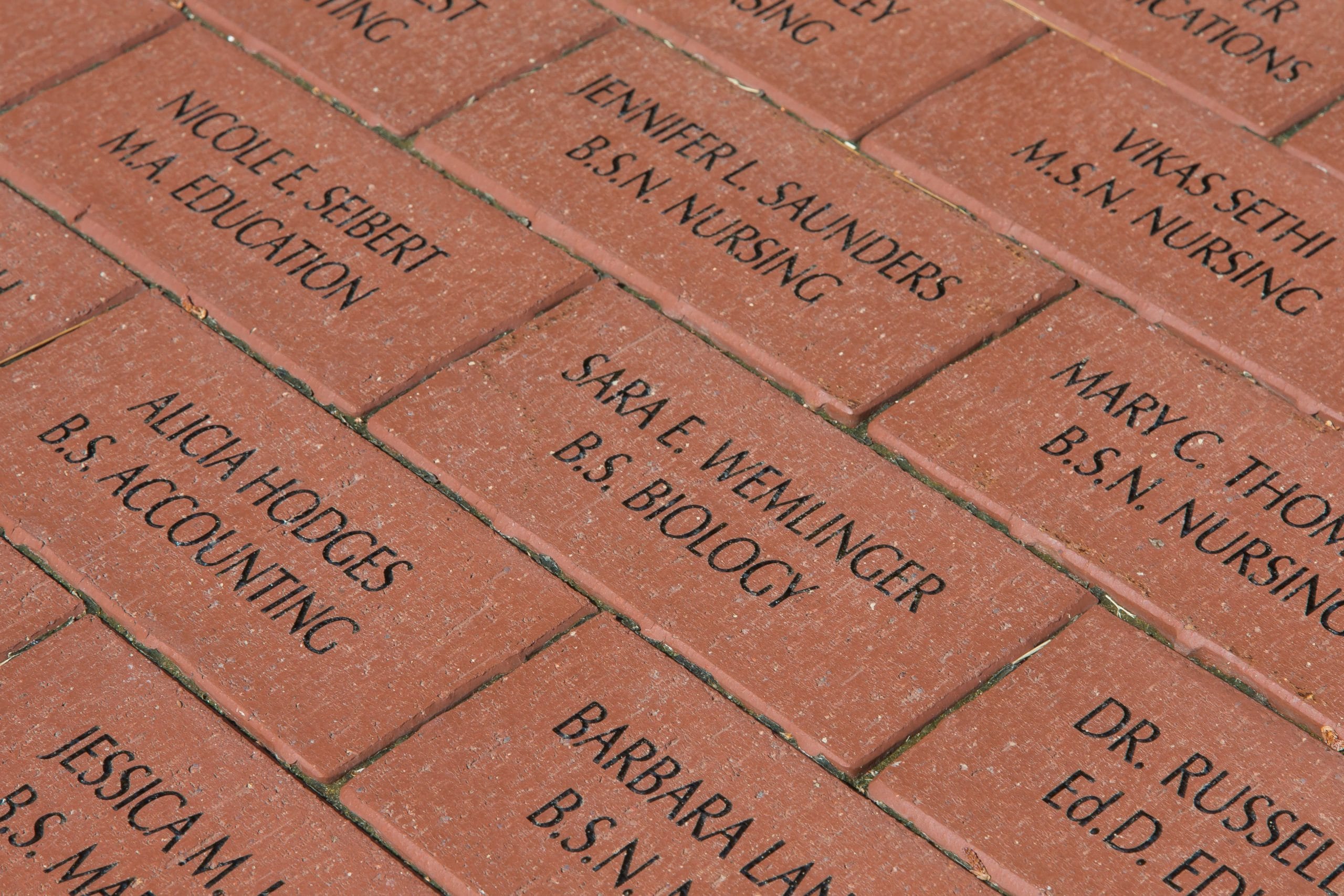 Elkridge Elementary School One Page Flyer