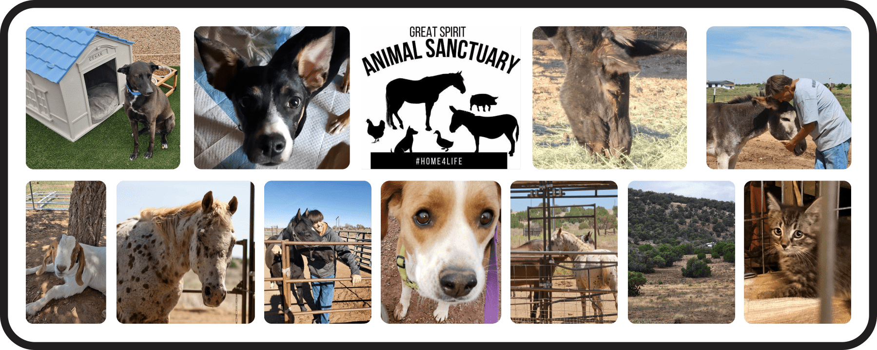 Great Spirit Animal Sanctuary Expansion Fundraising Brick