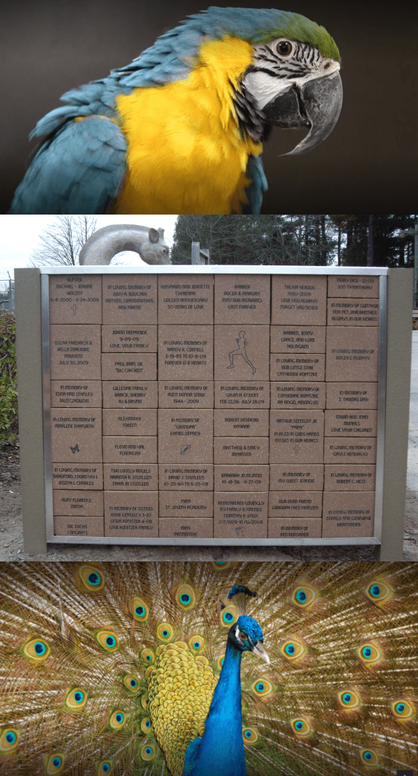 engraved brick wall at new zoo