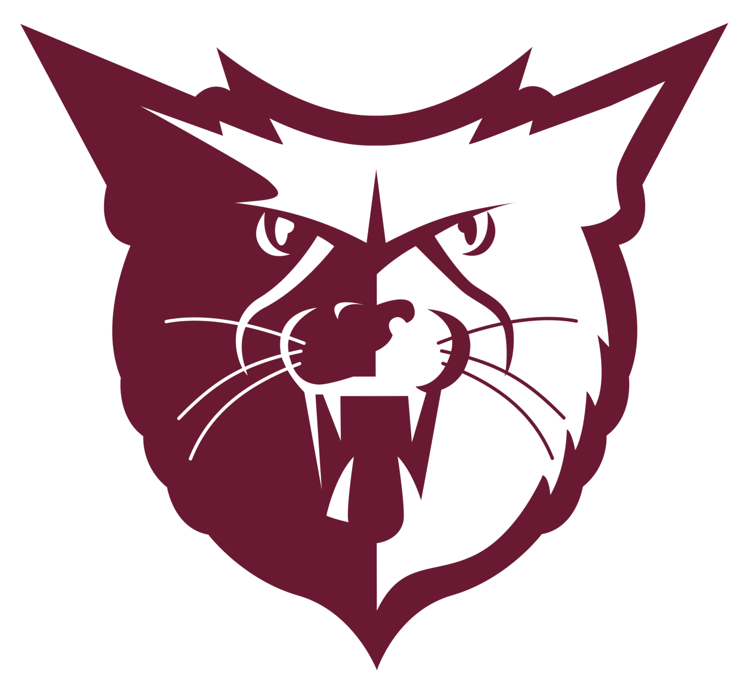 Sherman Isd Building Bearcats Legacy Brick Campaign - Fundraising Brick